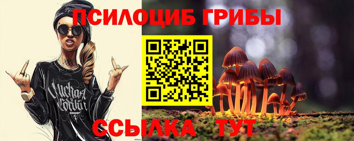 Псилоцибиновые грибы GOLDEN TEACHER Иваново